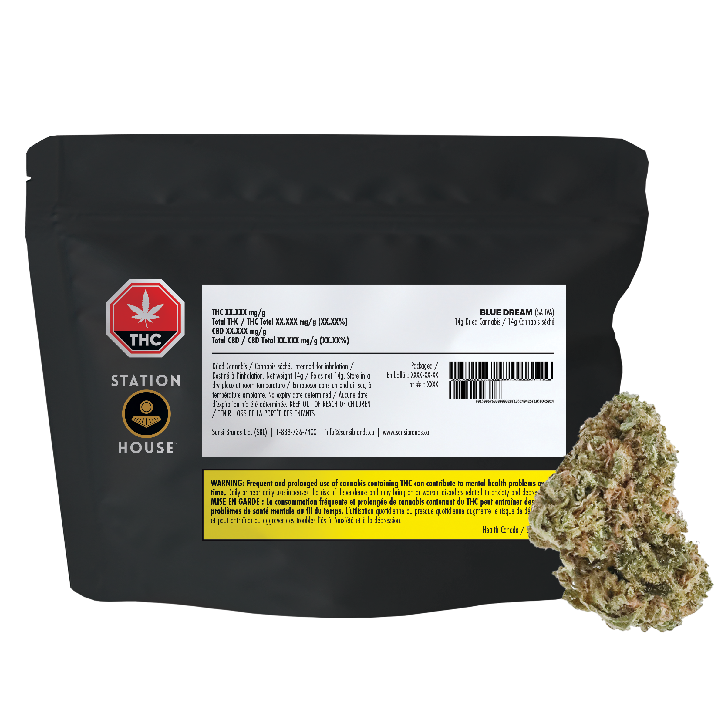 Station House Blue Dream